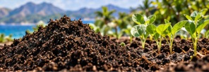 A mound of dark soil conditioner with seedlings growing beside it.